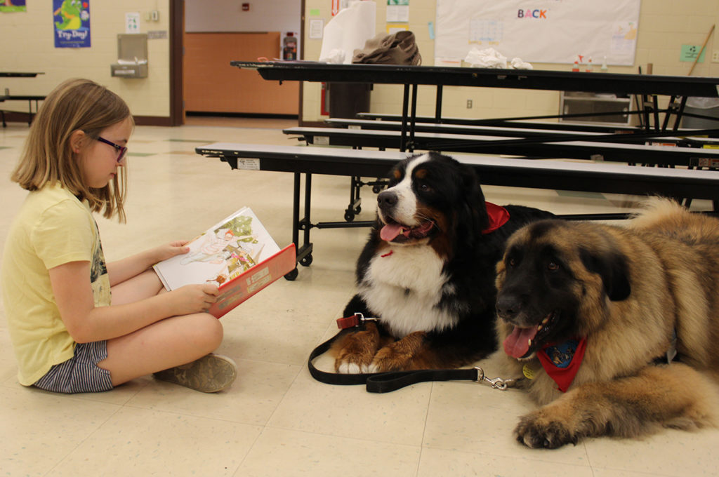 Students Read to Therapy Dogs – Wynantskill Union Free School District